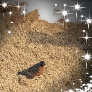 Meet your Posher, Ena ross